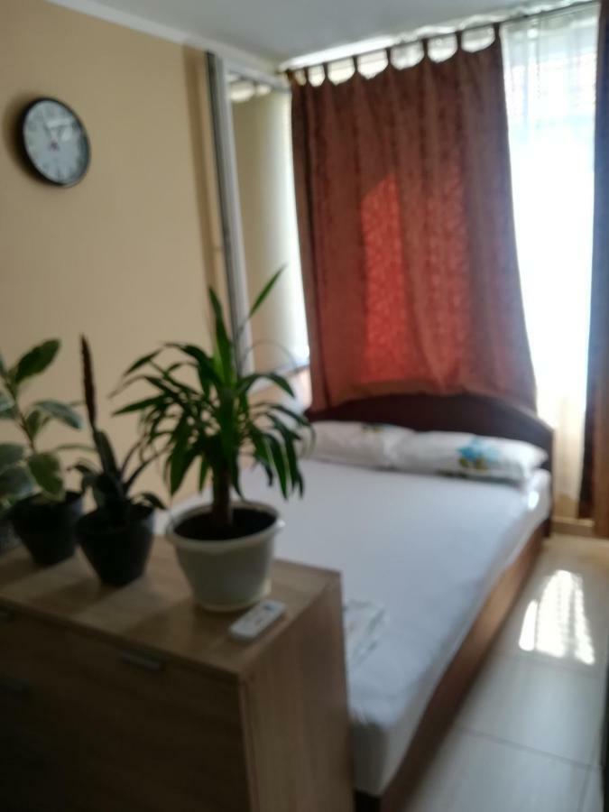 Apartments Vis Jaz Budva Exterior photo